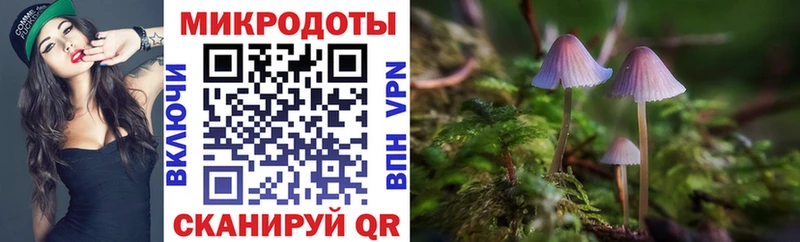 Псилоцибиновые грибы Psilocybe Фролово